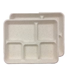 Plateau-repas rectangulaire en pulpe de bagasse jetable 100 % biodégradable