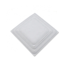 100% Biodegradable Square Disposable Sugarcane Plate For Party