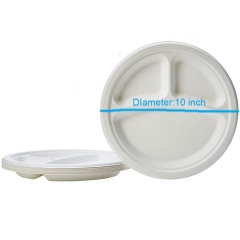 Assiettes de canne à sucre bagasse blanche jetables 100% biodégradables pour barbecue