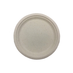 10 inch round plate sugarcane bagasse biodegradable meat plate for restaurant