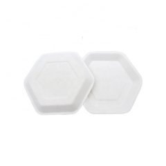 High Quality Disposable Plates Compostable Sugarcane Plates for Party