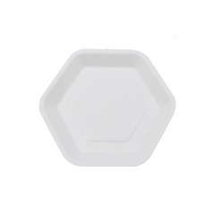 High Quality Disposable Plates Compostable Sugarcane Plates for Party