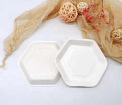 Eco-friendly 100% Biodegradable Disposable Sugarcane Hexagonal Plates