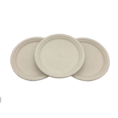 10 inch round plate sugarcane bagasse biodegradable meat plate for restaurant