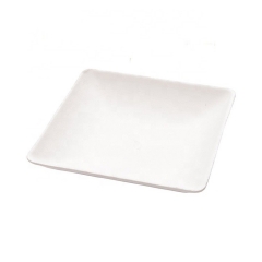 Mini placa de postre de bagazo biodegradable respetuoso del medio ambiente de encargo del servicio de mesa
