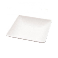 Vaisselle sur mesure Mini assiette à dessert biodégradable écologique en bagasse