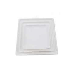 10 Assiettes Carrées Assiette de Bagasse de Canne à Sucre Biodégradable