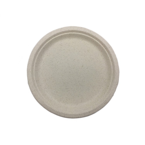 100％生分解性10インチの丸いサトウキビバガス紙皿