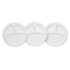 3 Compartment Biodegradable 10 Sugarcane Plate