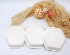 Placas Hexagonais de Cana-de-Açúcar descartáveis ​​100% biodegradáveis ​​e ecológicas