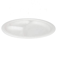 100% Biodegradable disposable white bagasse sugarcane plates for BBQ