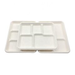 Disposable biodegradable sugarcane pulp department food tray for party