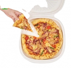 Disposable Bagasse Sugarcane Pizza Box Clamshell Biodegradable Box