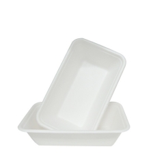 eco-friendly bagasse tray decomposable biodegradable sugarcane food tray