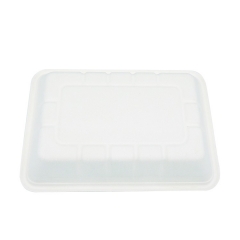 Takeaway meal tray biodegradable disposable sugarcane serving trays for food