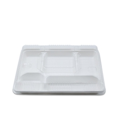 New Eco-friendly biodegradable 5 compartment sugarcane bagasse lunch tray