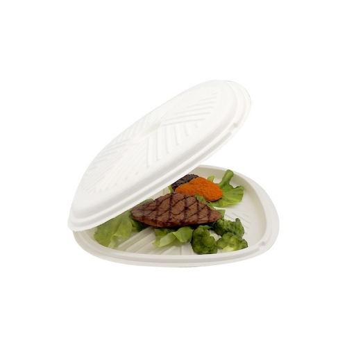 Disposable Bagasse Sugarcane Pizza Box Clamshell Biodegradable Box