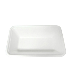 Vaisselle jetable compostable Bagasse Plateau de canne à sucre pour la viande