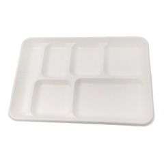 Wholesale High Quality Eco Biodegradable 6 Compartment Sugarcane Trays For Food