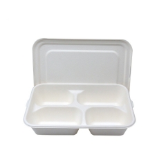 Natural biodegradable water and oil resistant sugarcane fast food tray