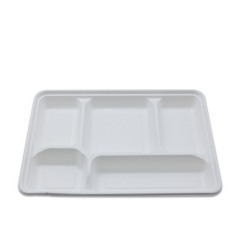 New Eco-friendly biodegradable 5 compartment sugarcane bagasse lunch tray