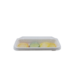 Hot selling rectangle compostable sugarcane sushi tray with lid