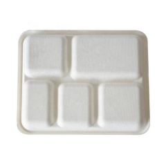 Freezable Eco-friendly Sugarcane Dinnerware Sets Bagasse Tray for Food