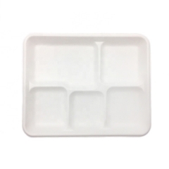 Disposable biodegradable sugarcane pulp department food tray for party
