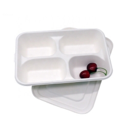 White Disposable Biodegradable 6-Compartment Sugarcane Trays For Food