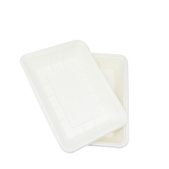 Takeaway meal tray biodegradable disposable sugarcane serving trays for food