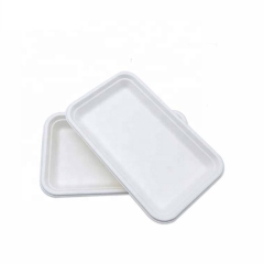 Disposable Biodegradable Compostable Bagasse Big Tray Sugarcane Tray