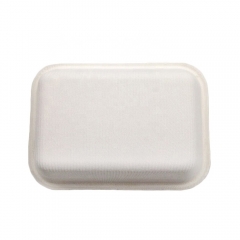 Plateaux Biodégradables Bagasse Compostable Canne à Sucre Plateaux Jetables