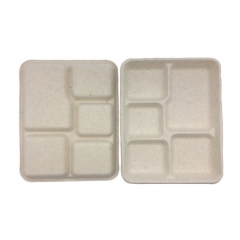 Composable Tray Sugarcane Biodegradable Disposable Food Tray for School