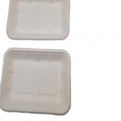 Plateaux de viande jetables d'emballage alimentaire de sushi biodégradable blanc