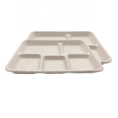 Plateau Jetable Bagasse 5 Compartiments Plateaux Déjeuner Non Blanchis