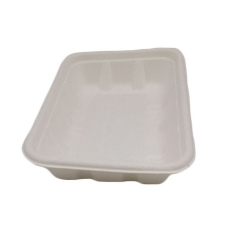 Nouveau plateau de viande biodégradable jetable de vaisselle de bagasse de canne à sucre d'arrivée