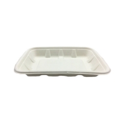 Disposable Fruit Tray Biodegradable Sugarcane Bagasse Takeaway White Trays