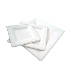 Disposable Compostable Bagasse Disposable Square Trays