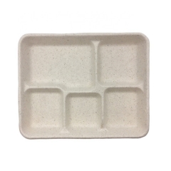 Plateau de nourriture jetable biodégradable de canne à sucre de plateau composable pour l'école