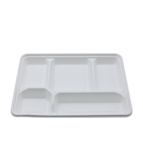 Biologisch abbaubares Tablett mit Zuckerrohr-Bagasse-Fach