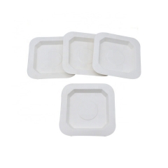 Promotional Square Sugarcane Bagasse Snack tray