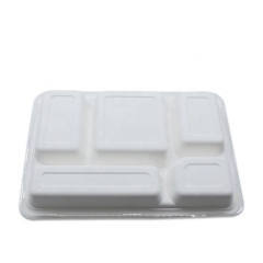 Biodegradable Trays Sugarcane Disposable 5 Compartments Bagasse Lunch Tray