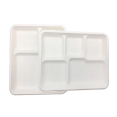 Hot Selling Disposable Biodegradable 5 Compartment Sugarcane Paper Food Tray