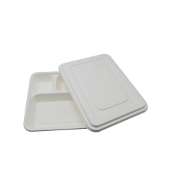 New arrival disposable biodegradable sugarcane takeaway food trays with lid