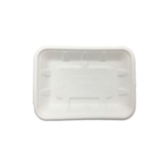 Rectangle Sugarcane Disposable Biodegradable Bagasse Food Tray