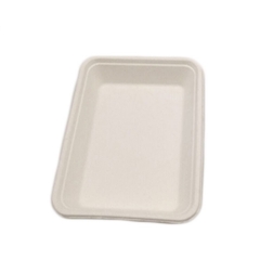 Eco-friendly portable disposable biodegradable rectangle sugarcane meat tray