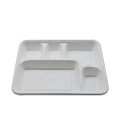 Newest Disposable 5 Compartment Biodegradable Bagasse Tray with Lid