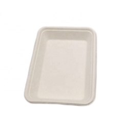 Plateau 100% biodégradable biodégradable de canne à sucre de bagasse d'Eco jetable