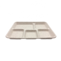 Sugarcane Tray Bagasse Biodegradable 5 Compartment Lunch Food Trays