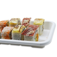 Disposable biodegradable sugarcane sushi tray with transparent lid